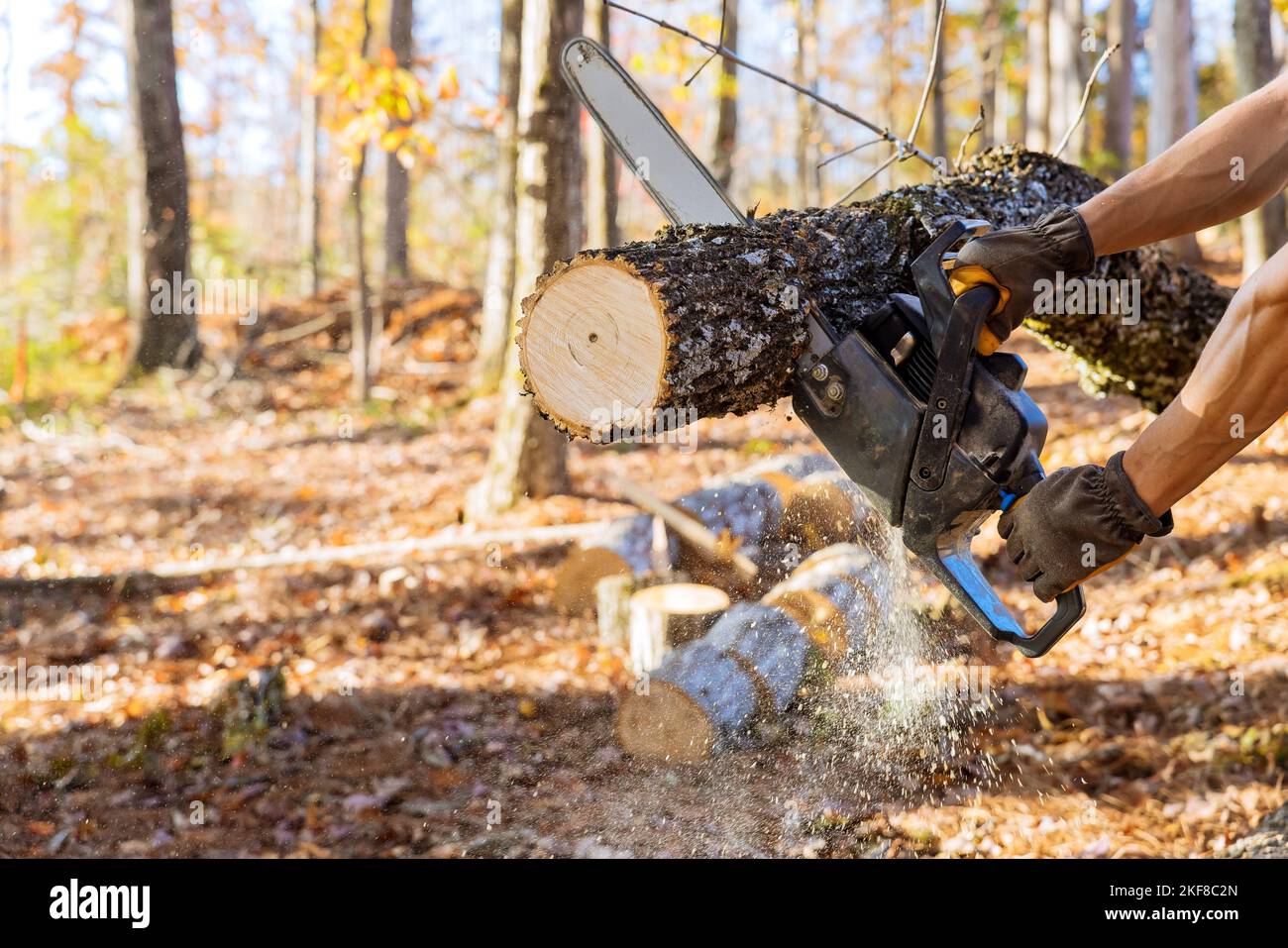 Man utility service cutting down broken trunk of tree with chainsaw ...