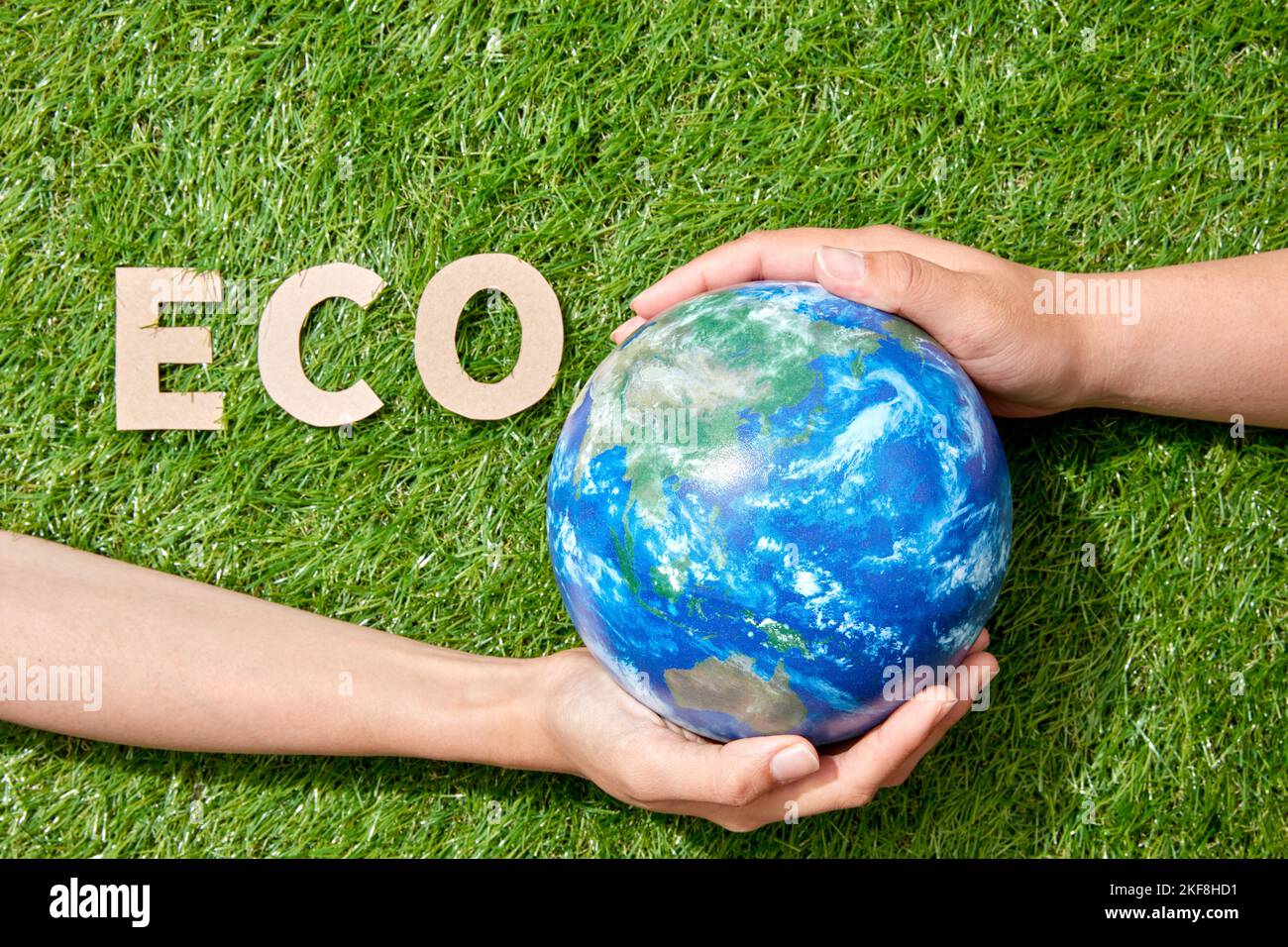 Ecology Stock Photo