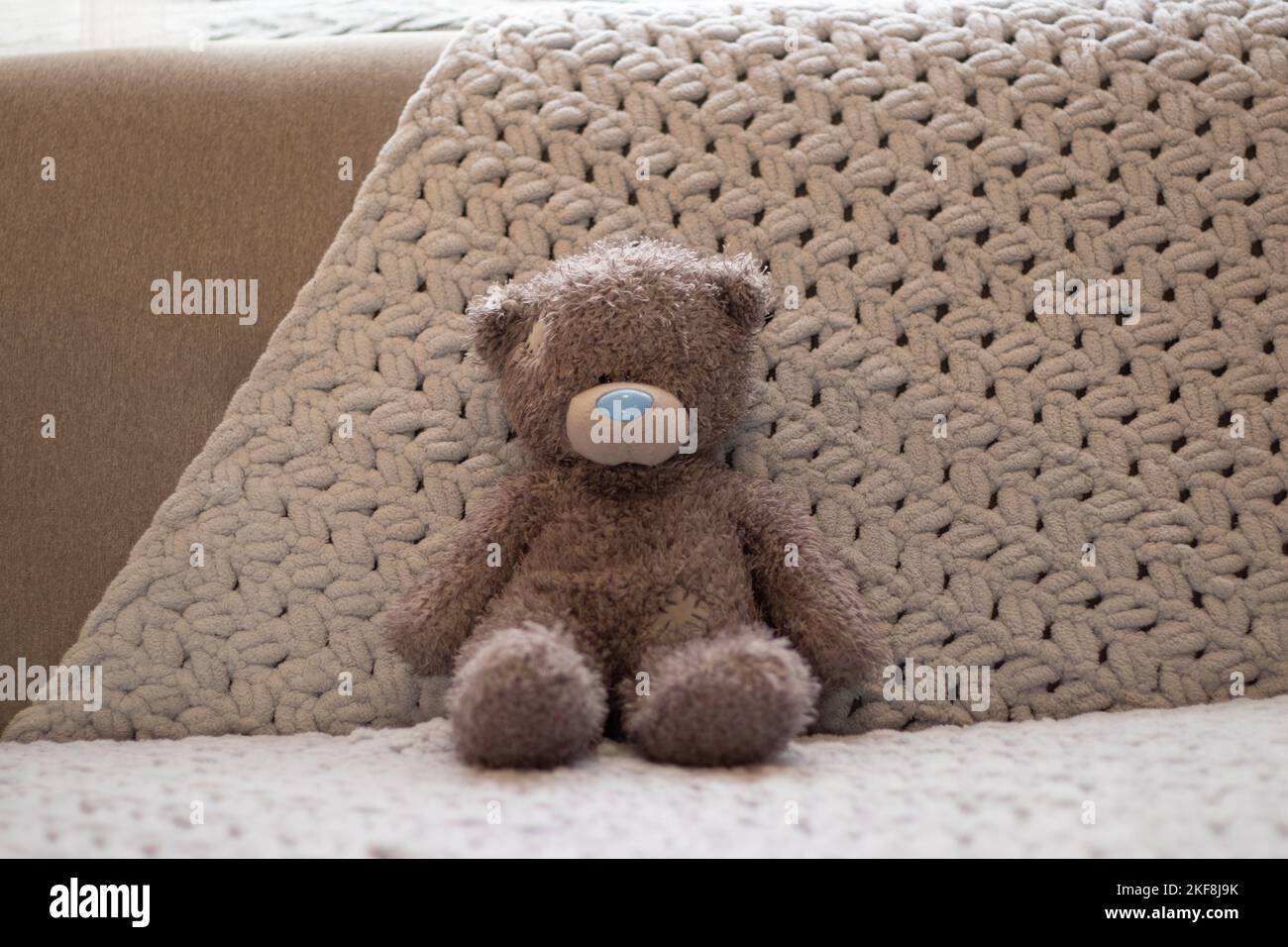 gray baby bear sits on a gray indoor sofa at home Stock Photo