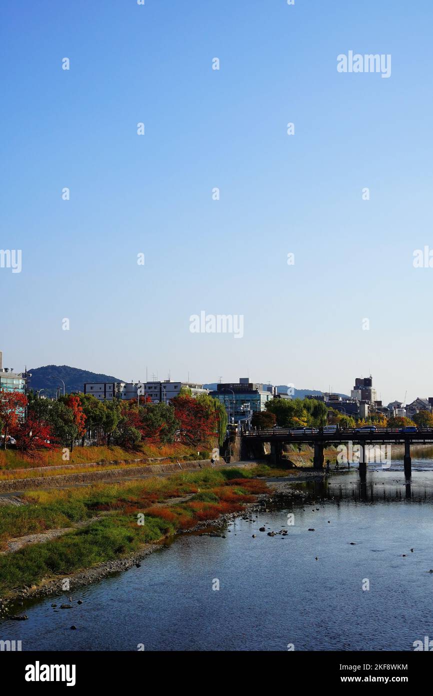 Kyoto autumn leaves at Kamogawa river Stock Photo