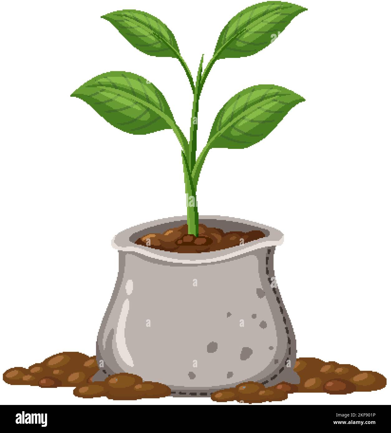 Plant growing in the bag illustration Stock Vector Image & Art - Alamy
