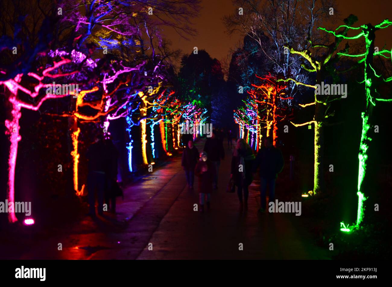 Lightshow iluminated Park Trees colorfull event grugapark Essen  Stock Photo