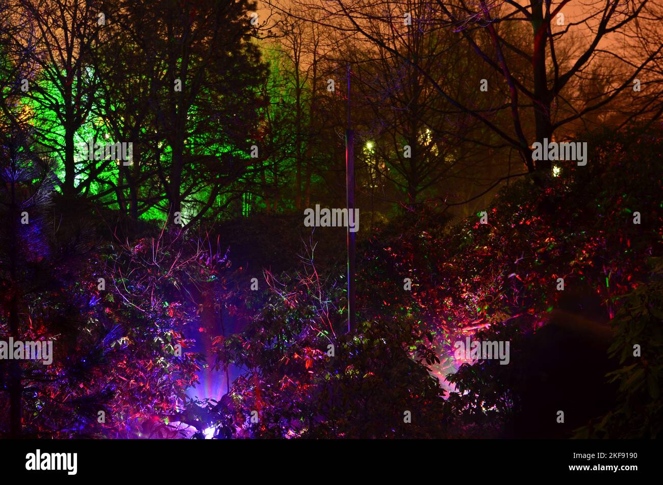 Lightshow iluminated Park Trees colorfull event grugapark Essen  Stock Photo
