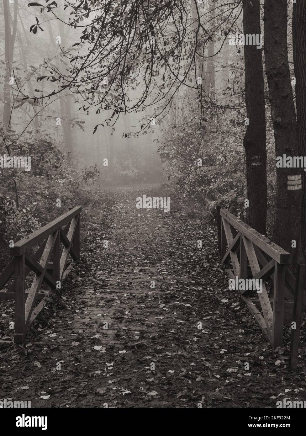Black and white bridge fog hi-res stock photography and images - Alamy