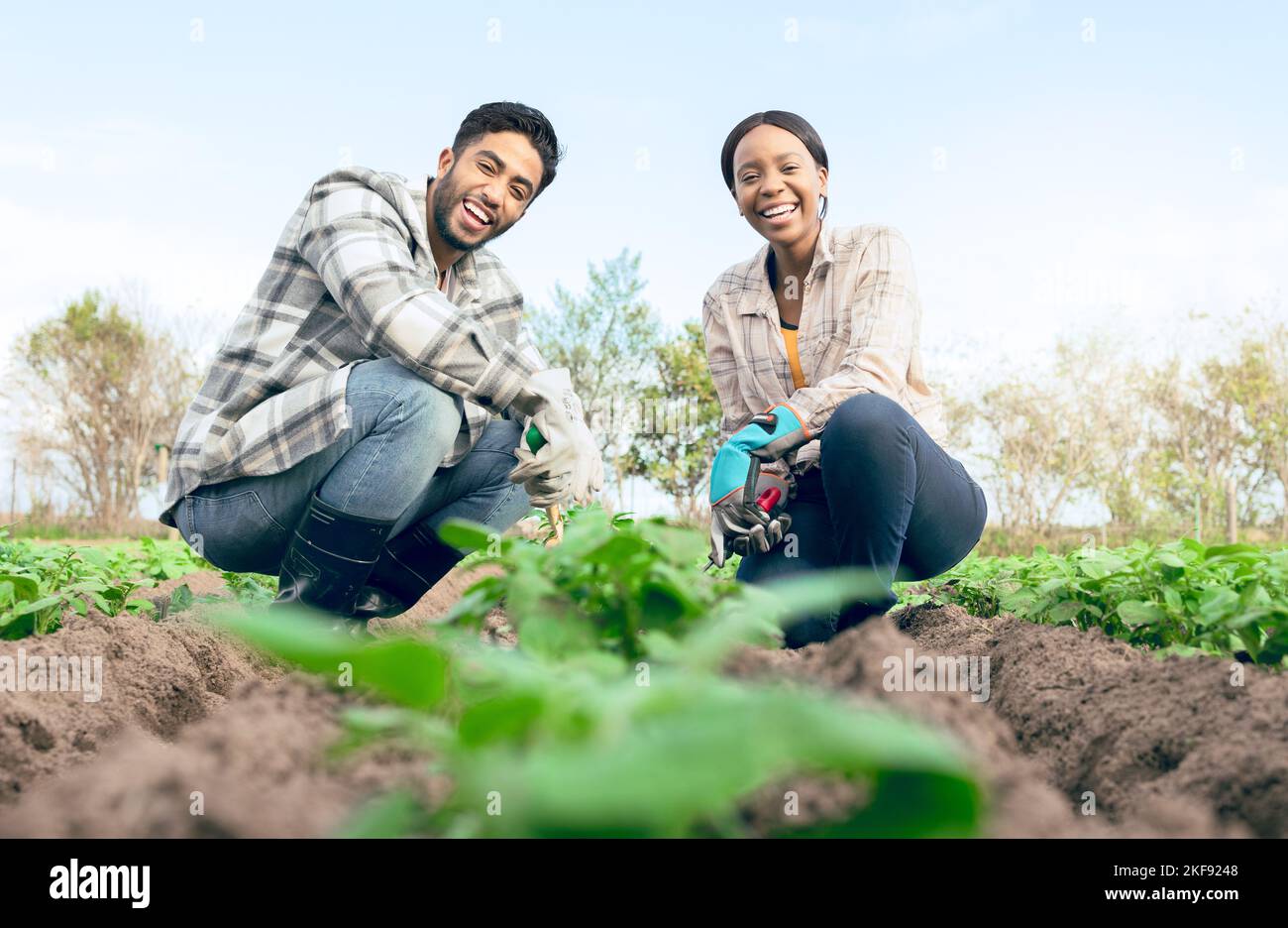 Agriculture, farm and portrait of happy couple farming, working or planting crops. Agro, sustainability and farmers, interracial couple and man and Stock Photo