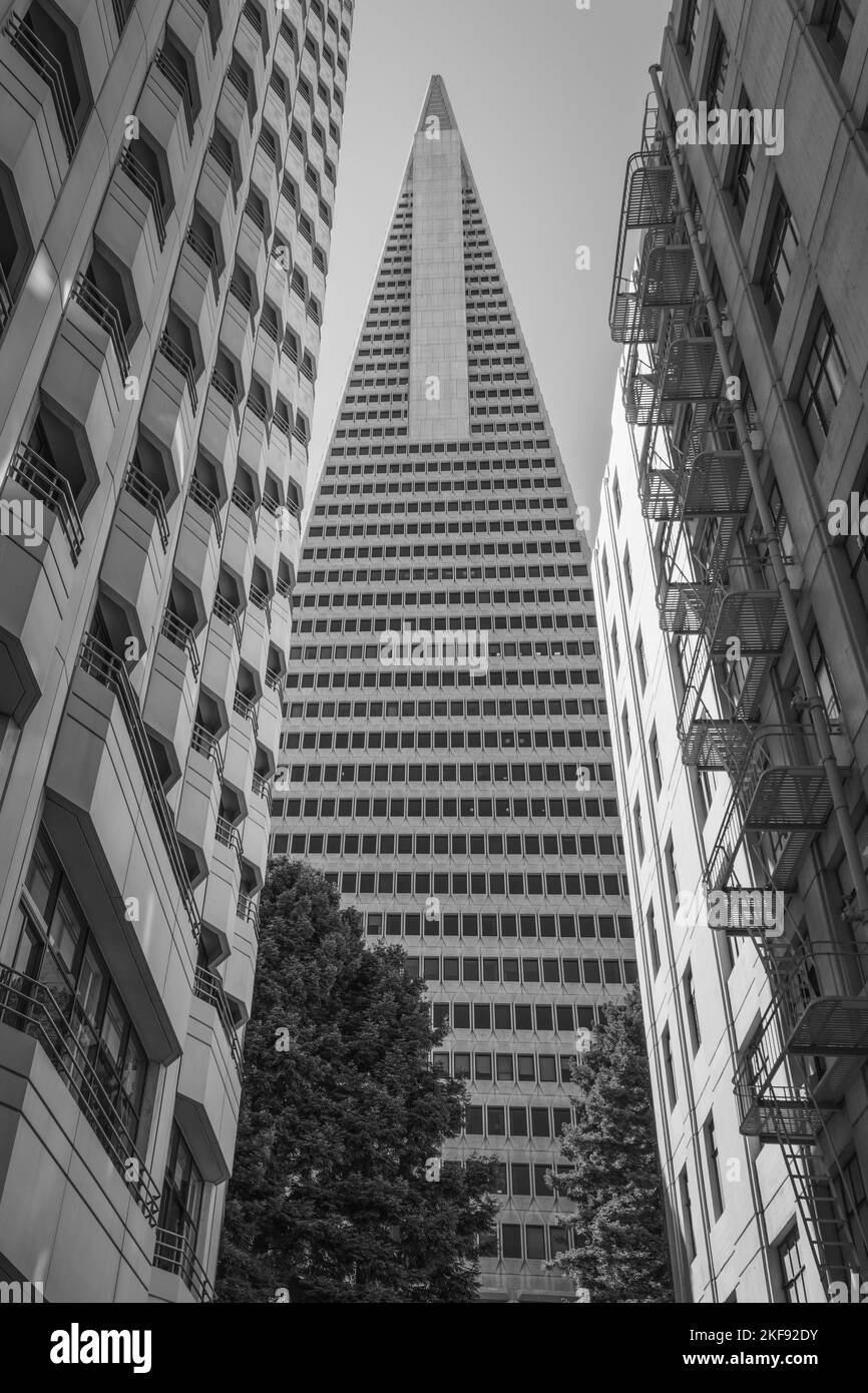 The Transamerica Pyramid is a futurist skyscraper in San Francisco