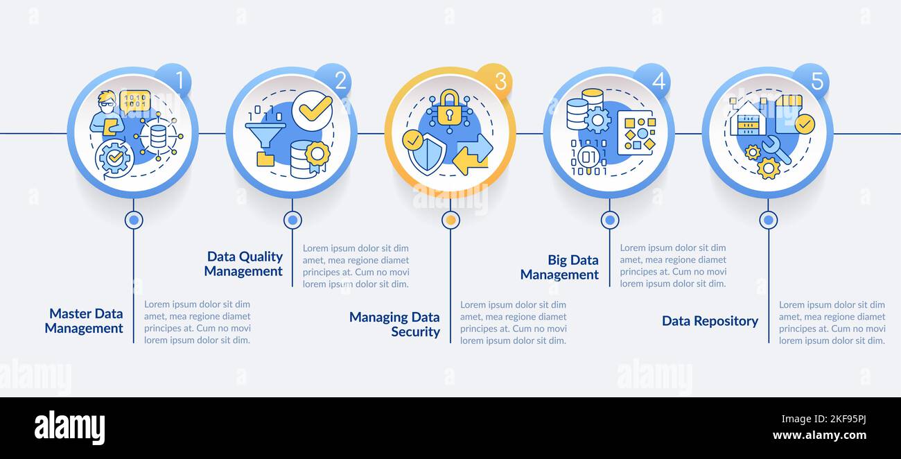 Types of database management system circle infographic template stock
