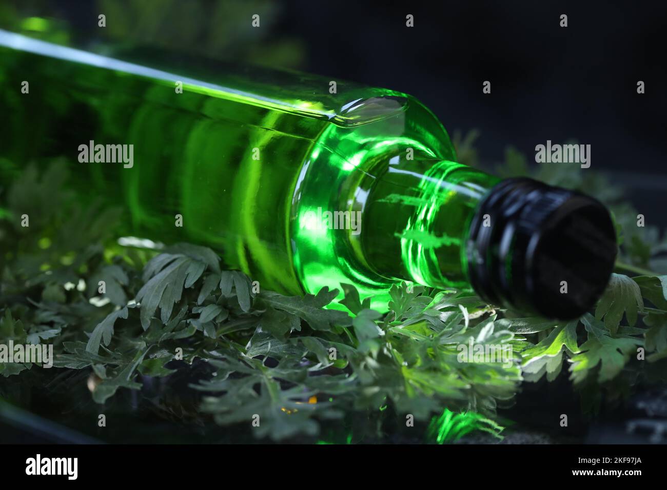 bottle of green absinthe drink on the black background with herbs Stock ...