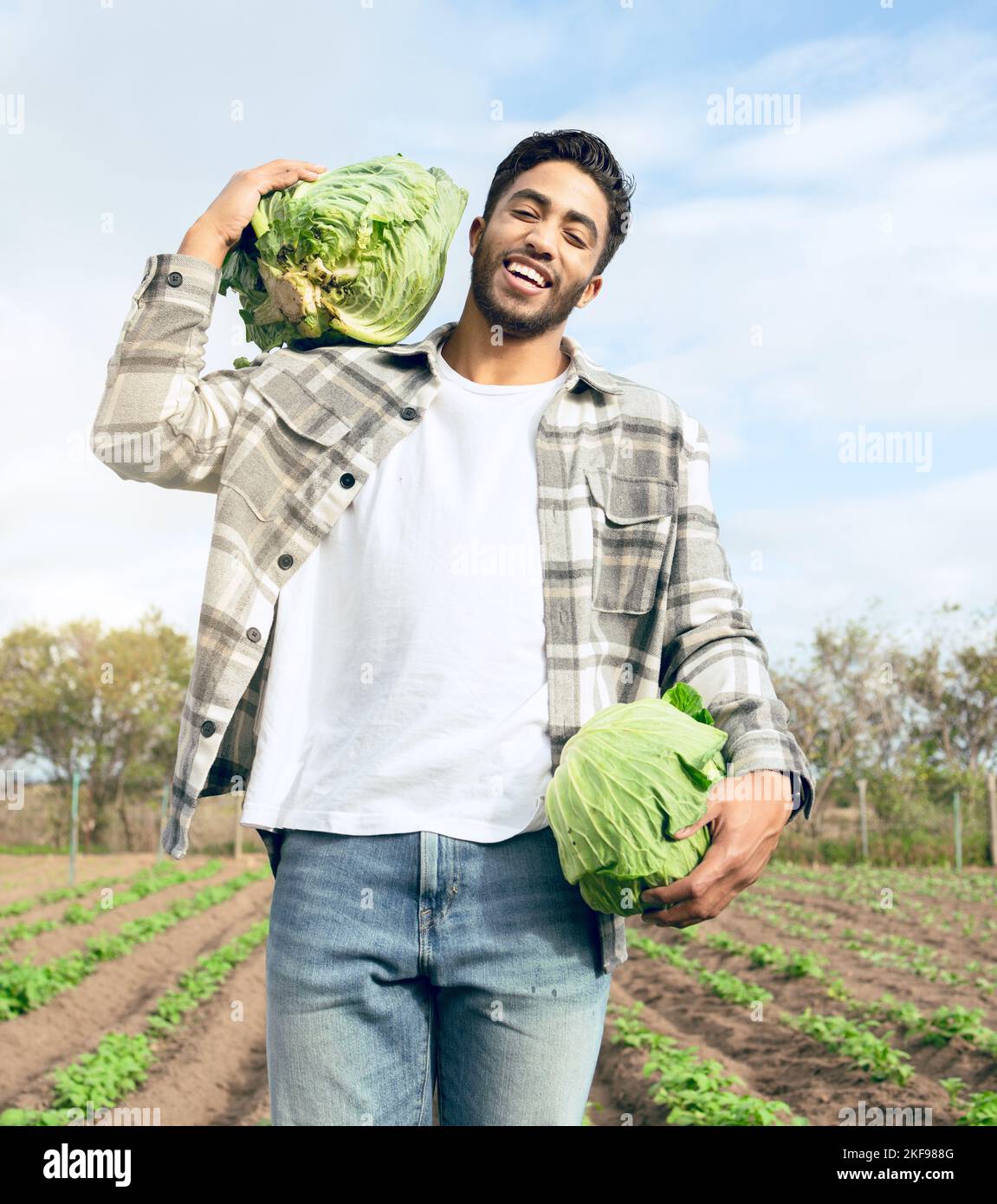 Agriculture worker, lettuce and farm, sustainability working and