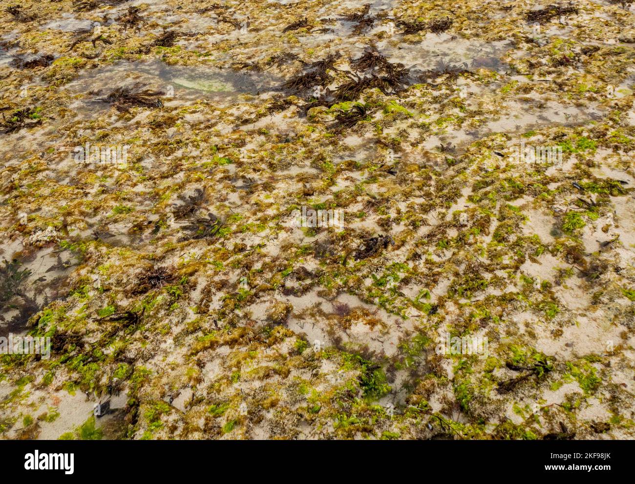 Low tide exposing reefs at Cape Mentelle in Leeuwin-Naturaliste National Park Margaret River Region Western Australia Stock Photo