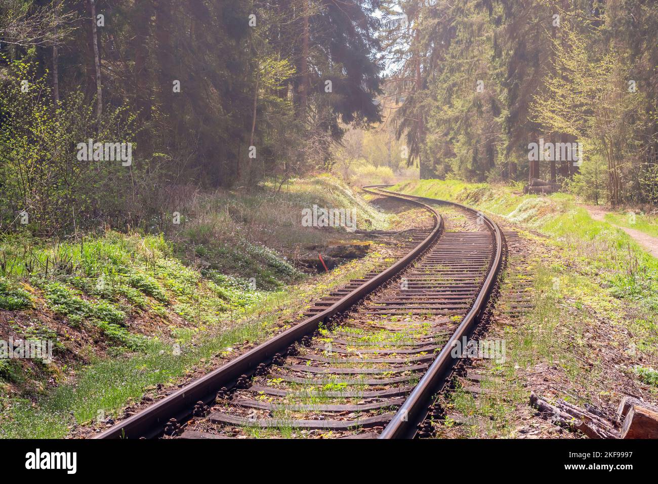 railway the train tracks wind around curves through the forest Stock