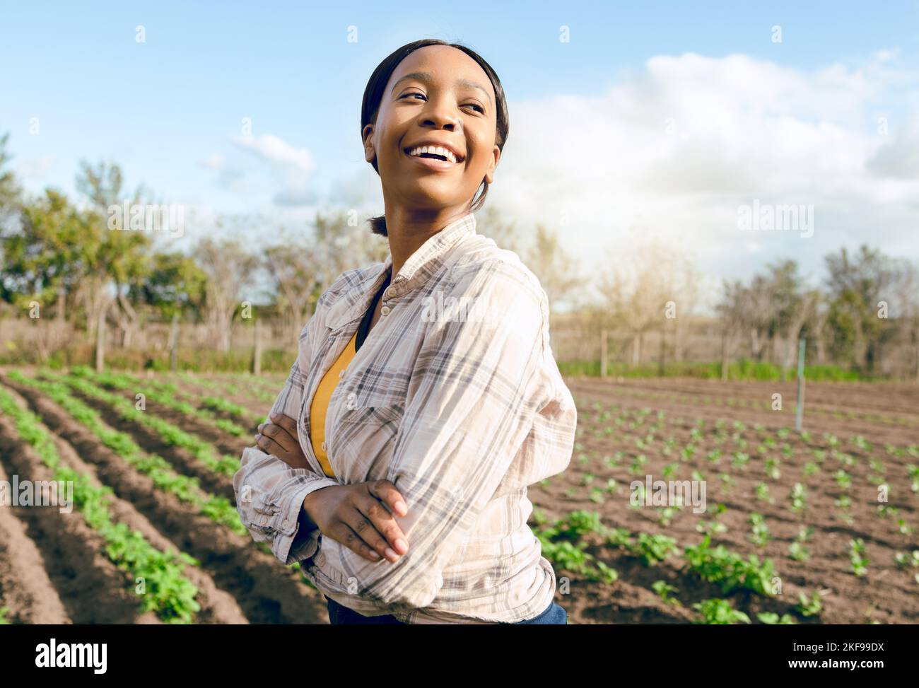 African woman work field hi-res stock photography and images - Alamy