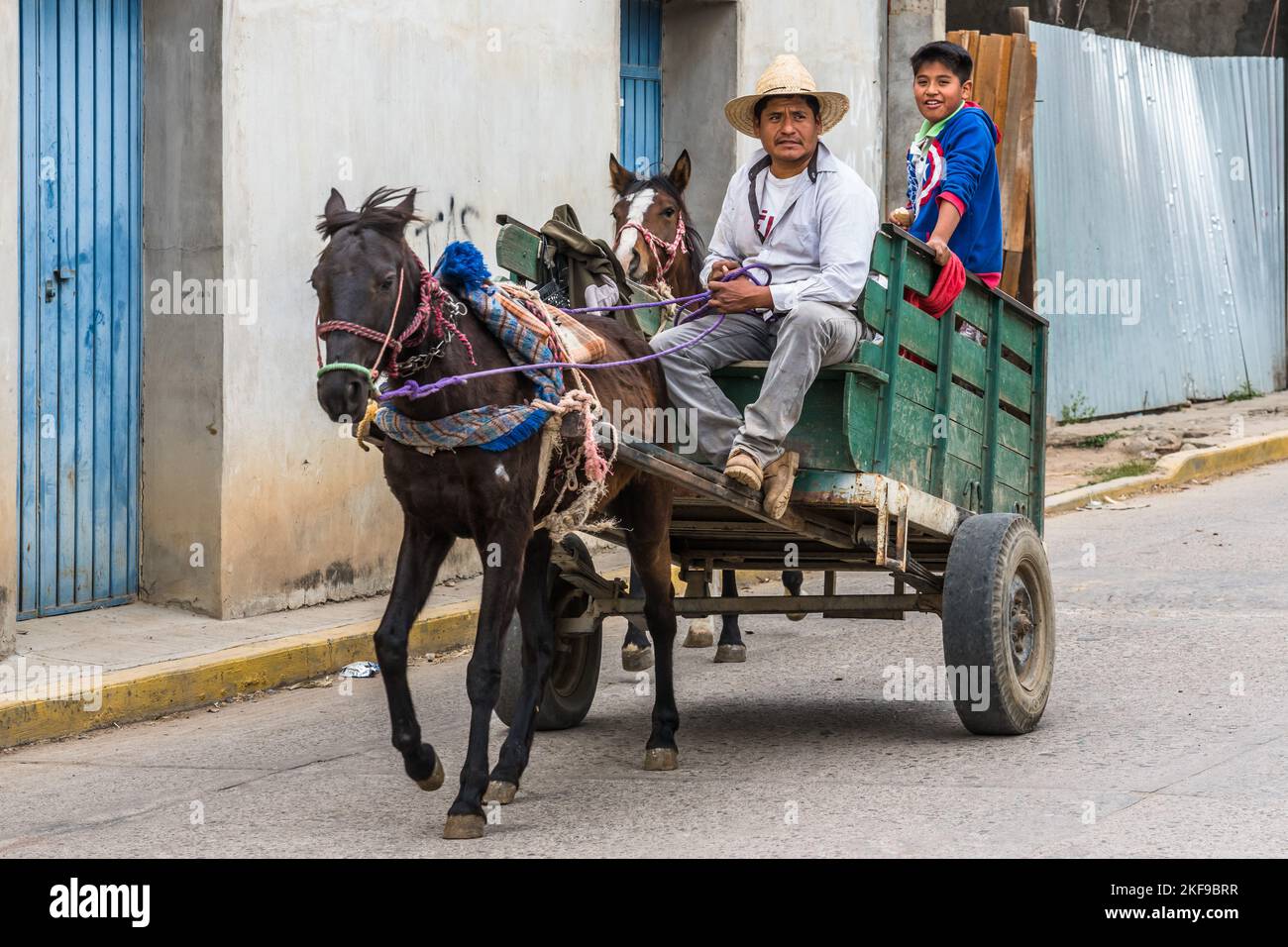 Boy driving wagon hi-res stock photography and images - Alamy