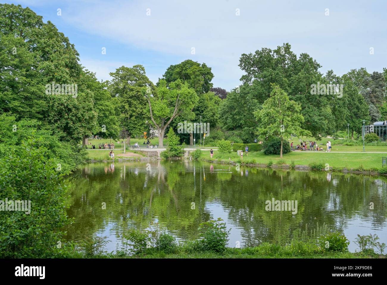 Teich, Herrngarten, Darmstadt, Hessen, Deutschland Stock Photo Alamy