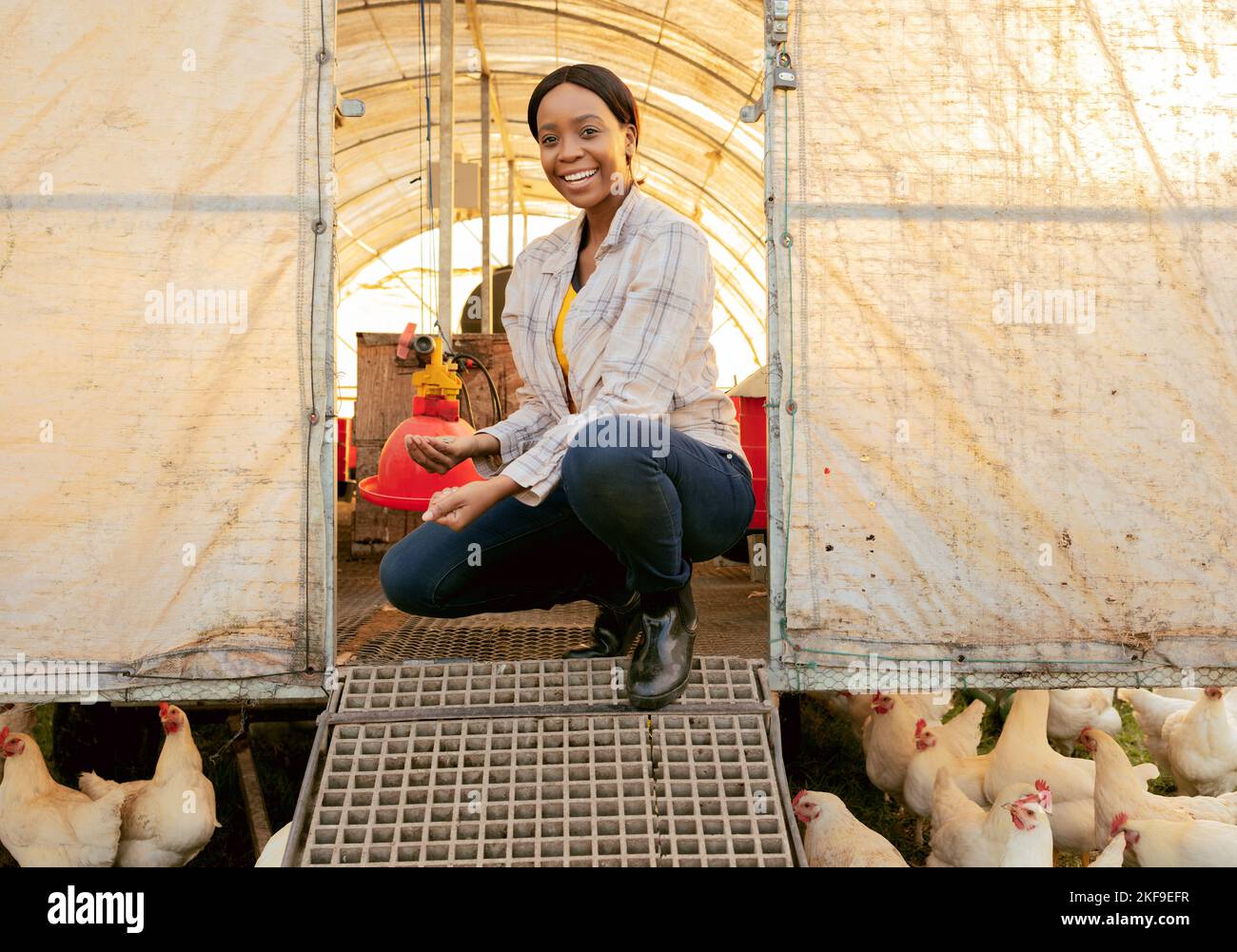 Farmer africa chicken hi-res stock photography and images - Alamy