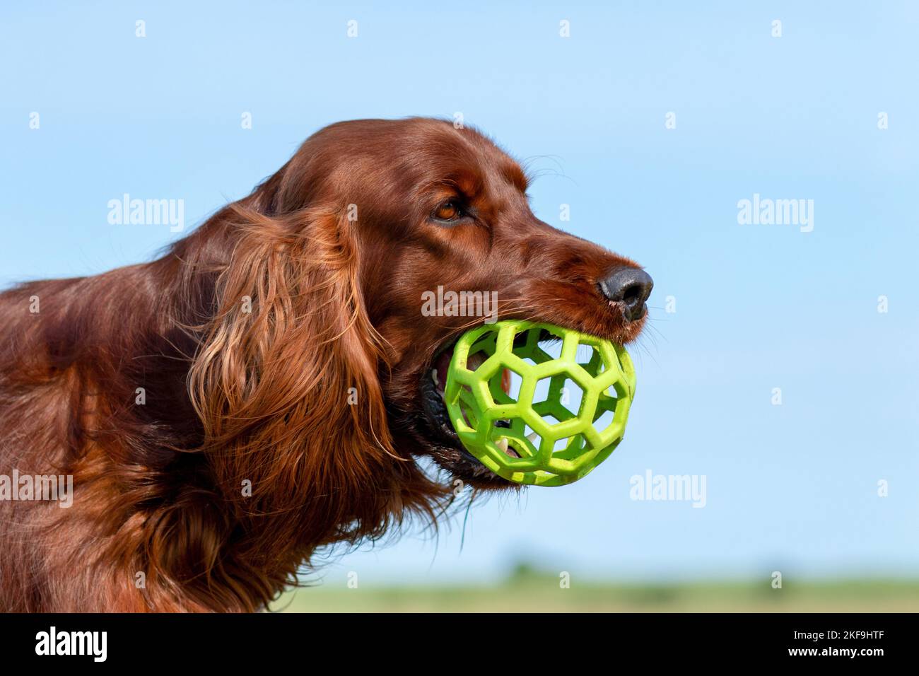 Ball setter hi-res stock photography and images - Alamy