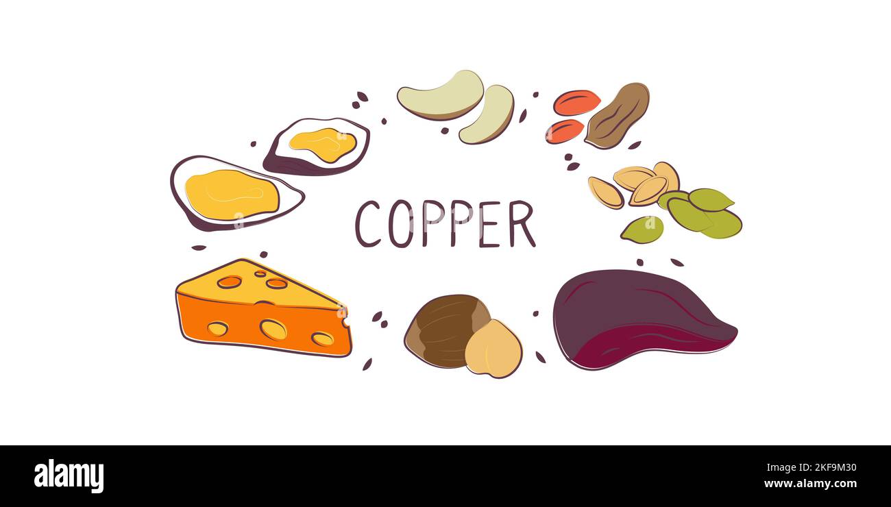 Copper-containing food. Groups of healthy products containing vitamins and minerals. Set of fruits, vegetables, meats, fish and dairy Stock Vector
