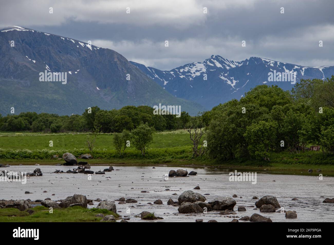 A landscape view of the Lofoten Archipelago with green fields and snowy mountain in Norway Stock Photo