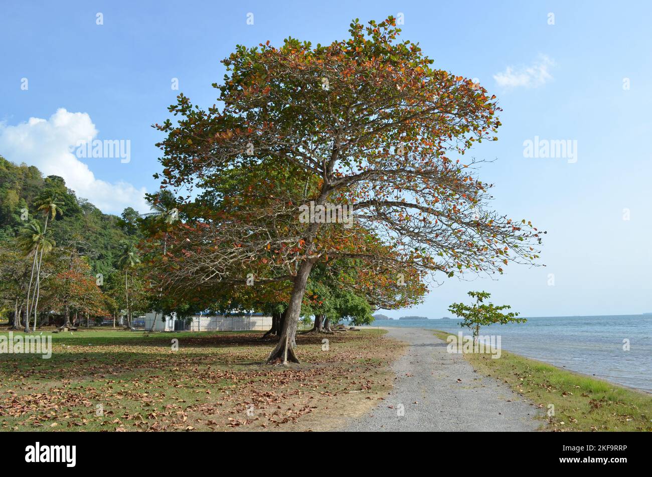 A Caribbean seaside bay and walkway in the town of Chaguaramas, Trinidad and Tobago Stock Photo