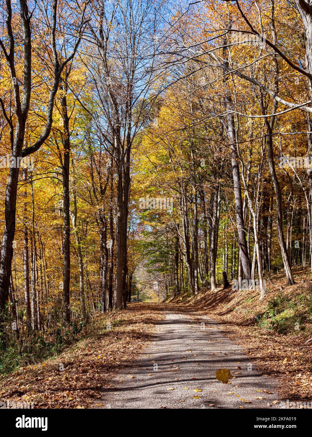 Beautiful country gravel road in rural Ohio with colorful autumn