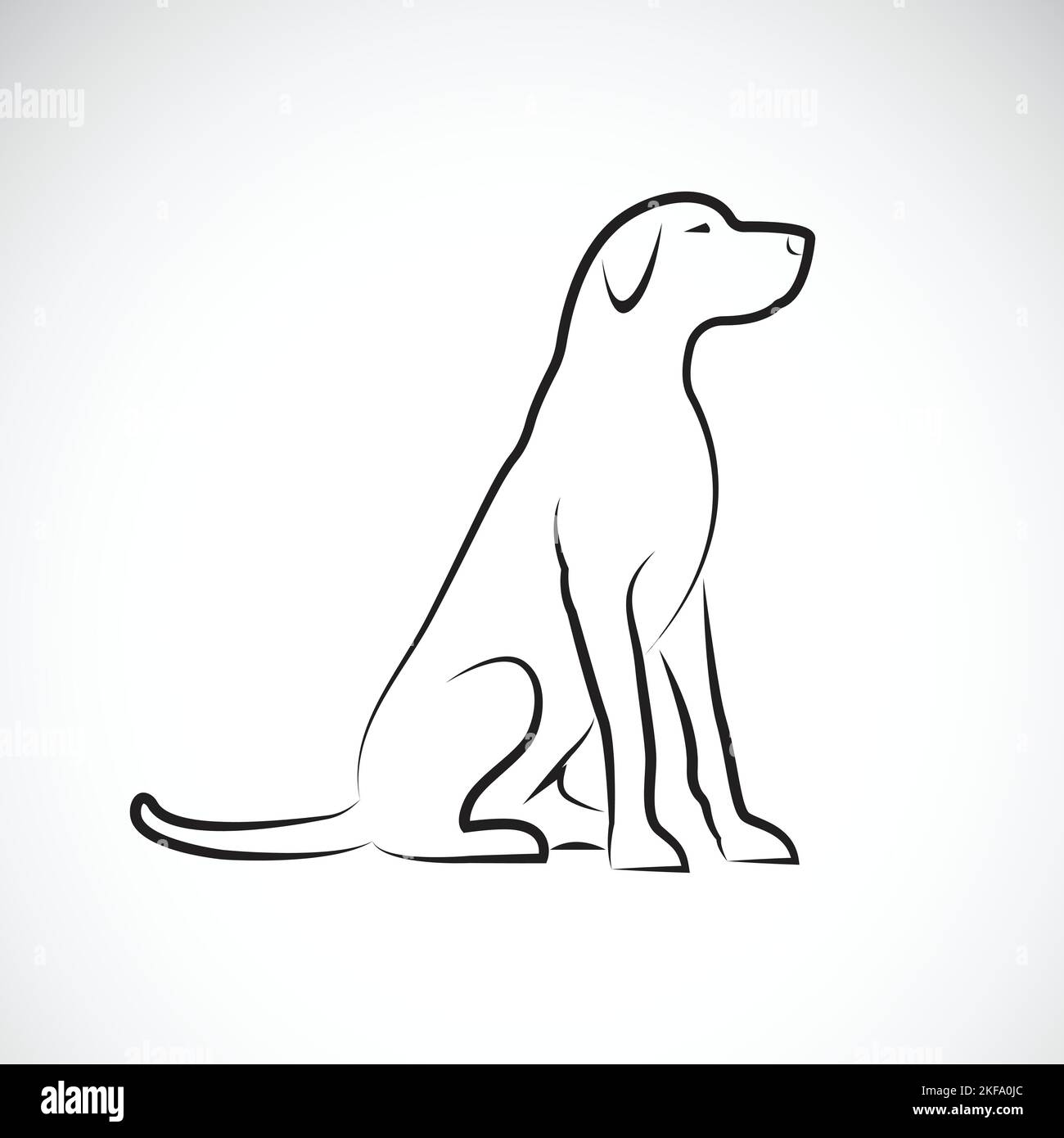 Labrador Simple Vector Image Vector of a labrador retriever dog on a white background. Pet. Animal ...
