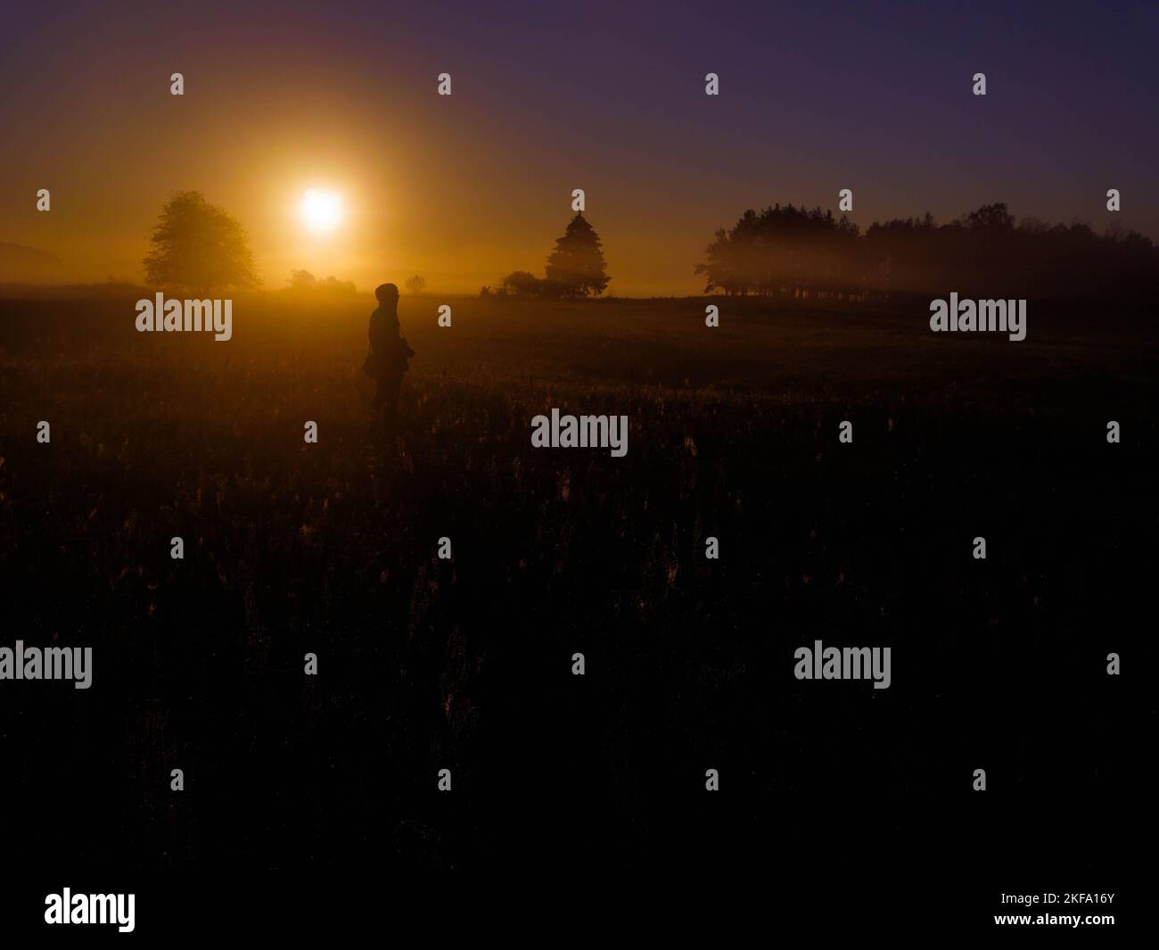 Man standing in a foggy field hi-res stock photography and images - Alamy