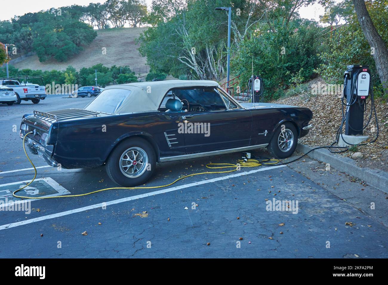 Mustang classic car converted to electric plugged into an EV charging station in Santa Rosa, California. Stock Photo