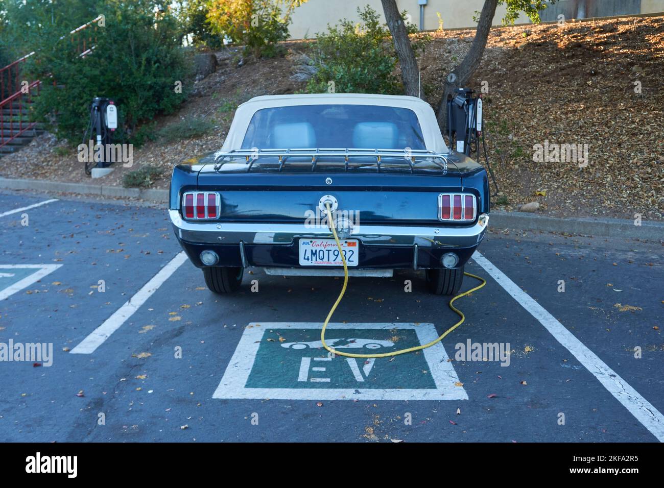 Mustang classic car converted to electric plugged into an EV charging