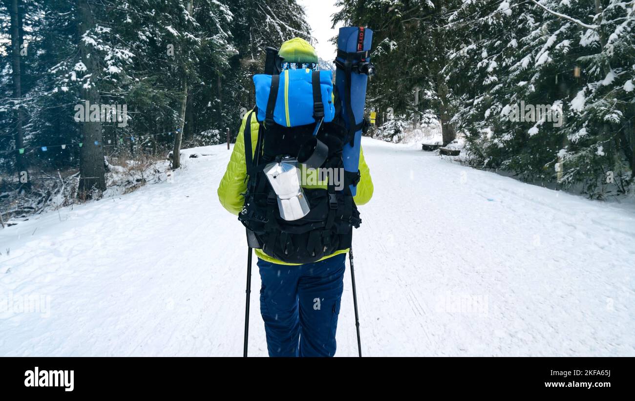 Man with outdoor backpack walking in the mountains in winter. Backpacker hiking in the forest covered with snow. Winter mountain trekking. Stock Photo