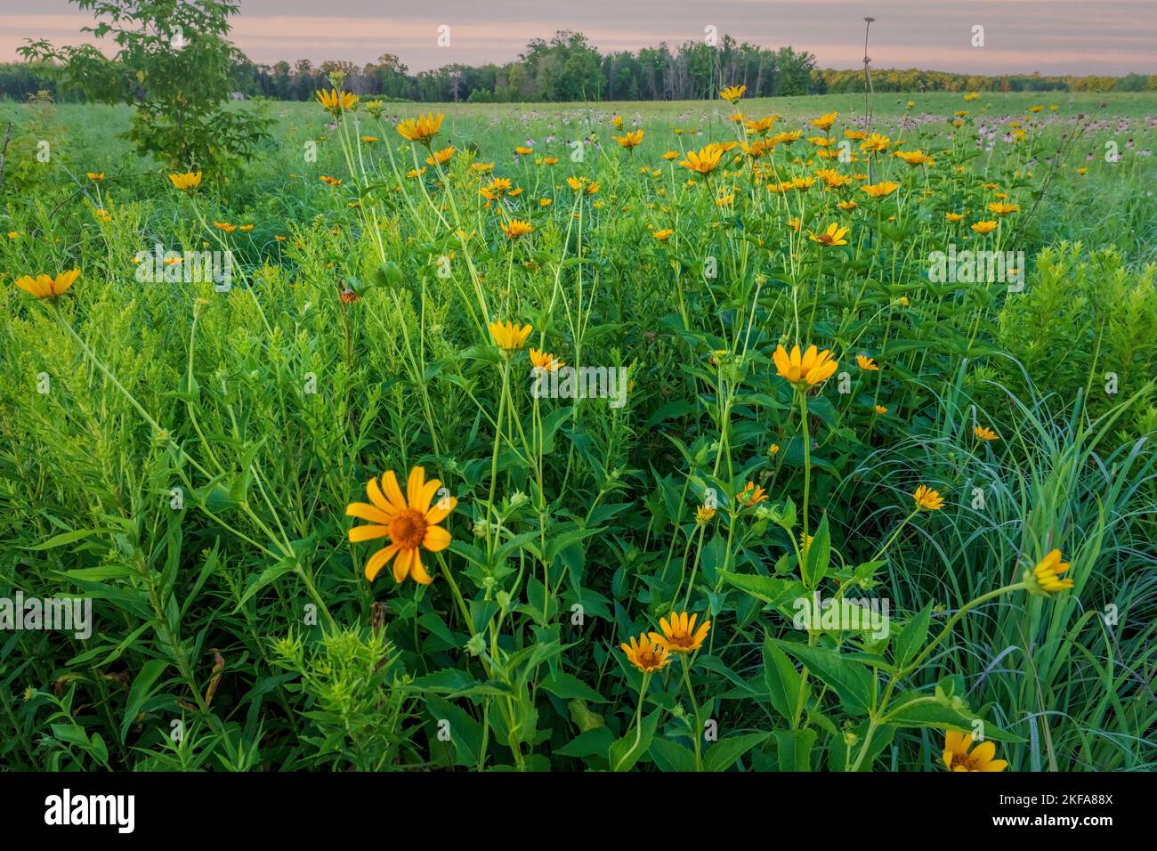 The Door County Land trust protects over 8,000 acres in Door County
