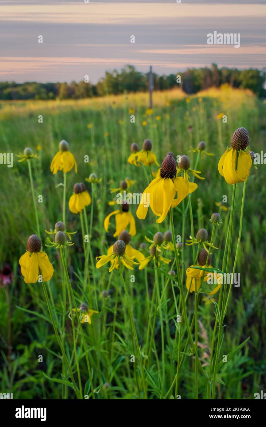 The Door County Land trust protects over 8,000 acres in Door County