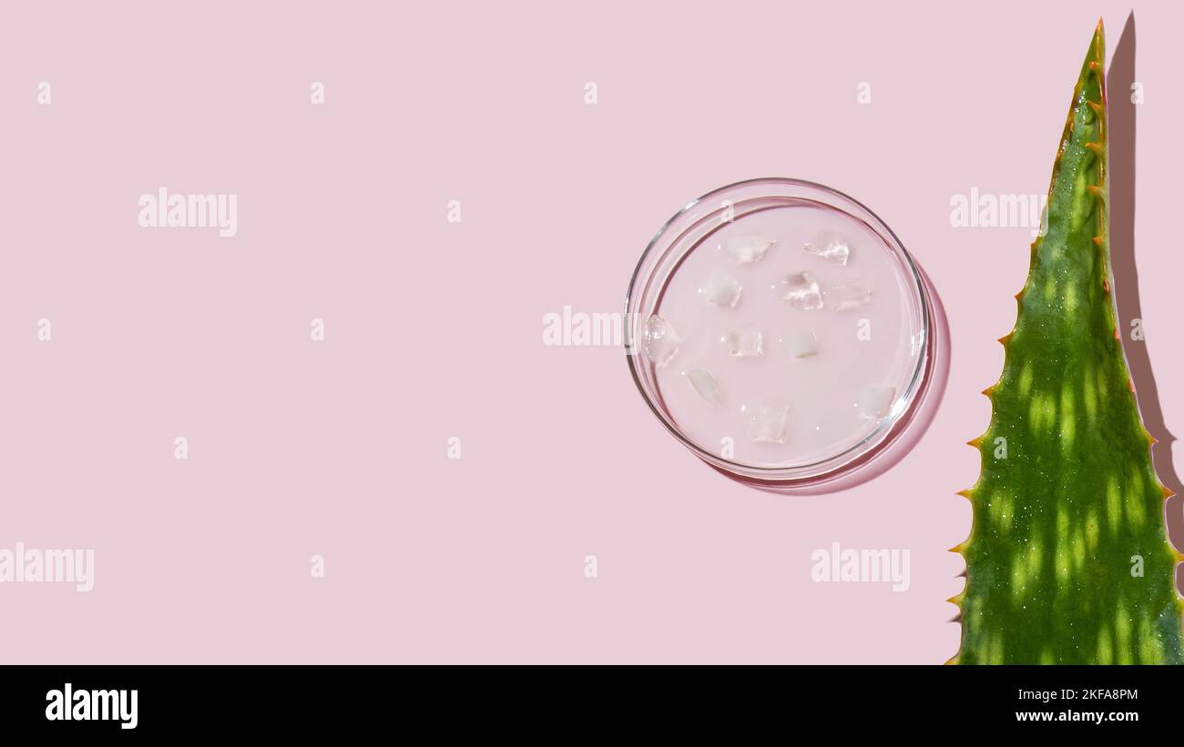 Pink aloe vera hi-res stock photography and images - Alamy