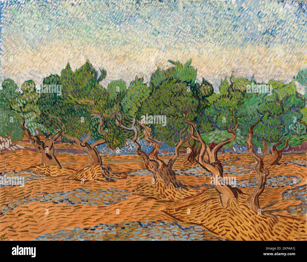 Vincent van Gogh landscape painting, Olive Grove, oil on canvas, 1889 ...