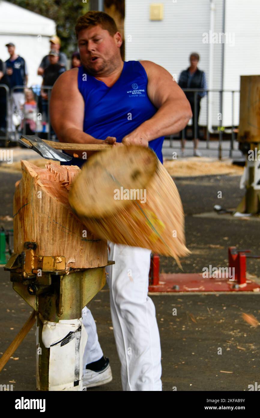 Wood Chopping Competition Axe Men Wood Chips Close Up at The Royal Melbourne Show, Melbourne Victoria VIC, Australia Stock Photo