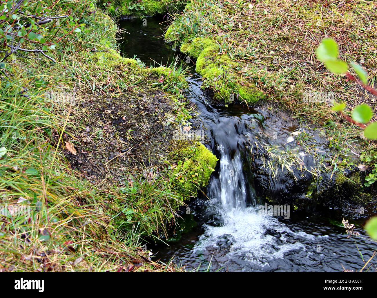 Mount Edziza Tiny underground water source, Mount Edziza Provincial Park, Northern ...