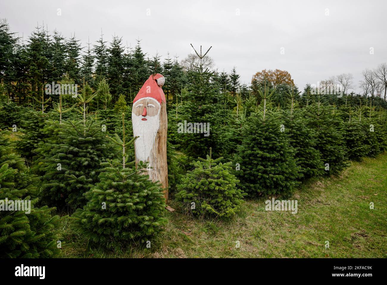 Christmas in germany compared to us