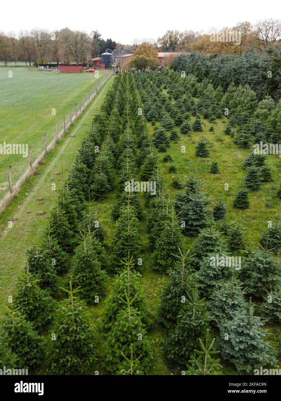 Christmas in germany compared to us