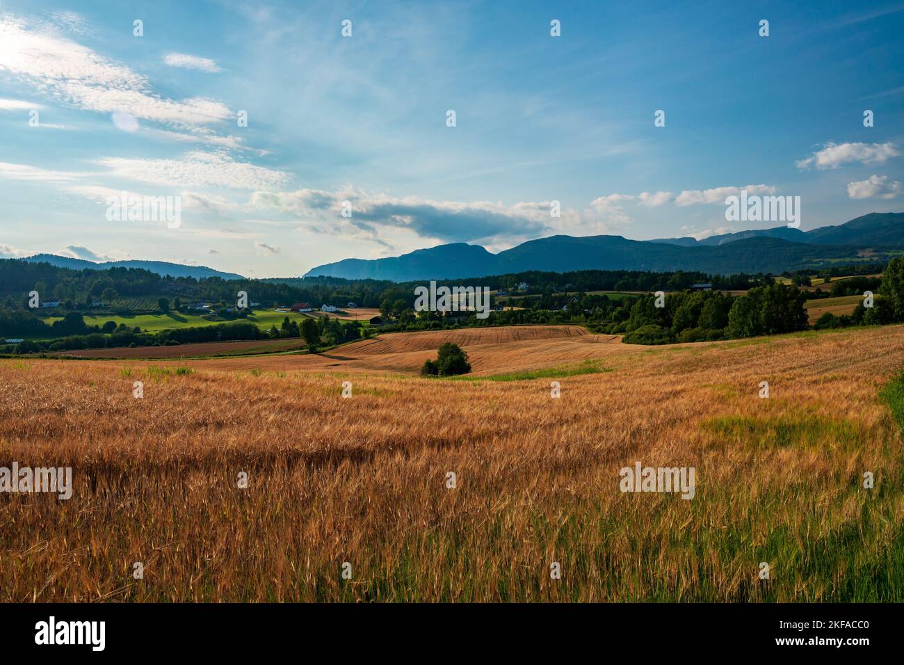Natural light stock hi-res stock photography and images - Alamy