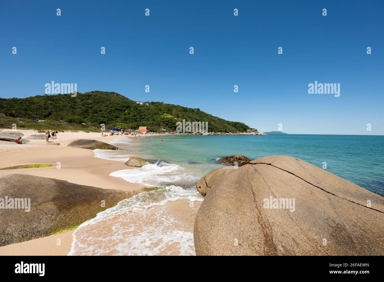 A clear blue sky day at Tainha Beach, a cristaline water paradise in Bombinhas, Santa Catarina, Brazil Stock Photo