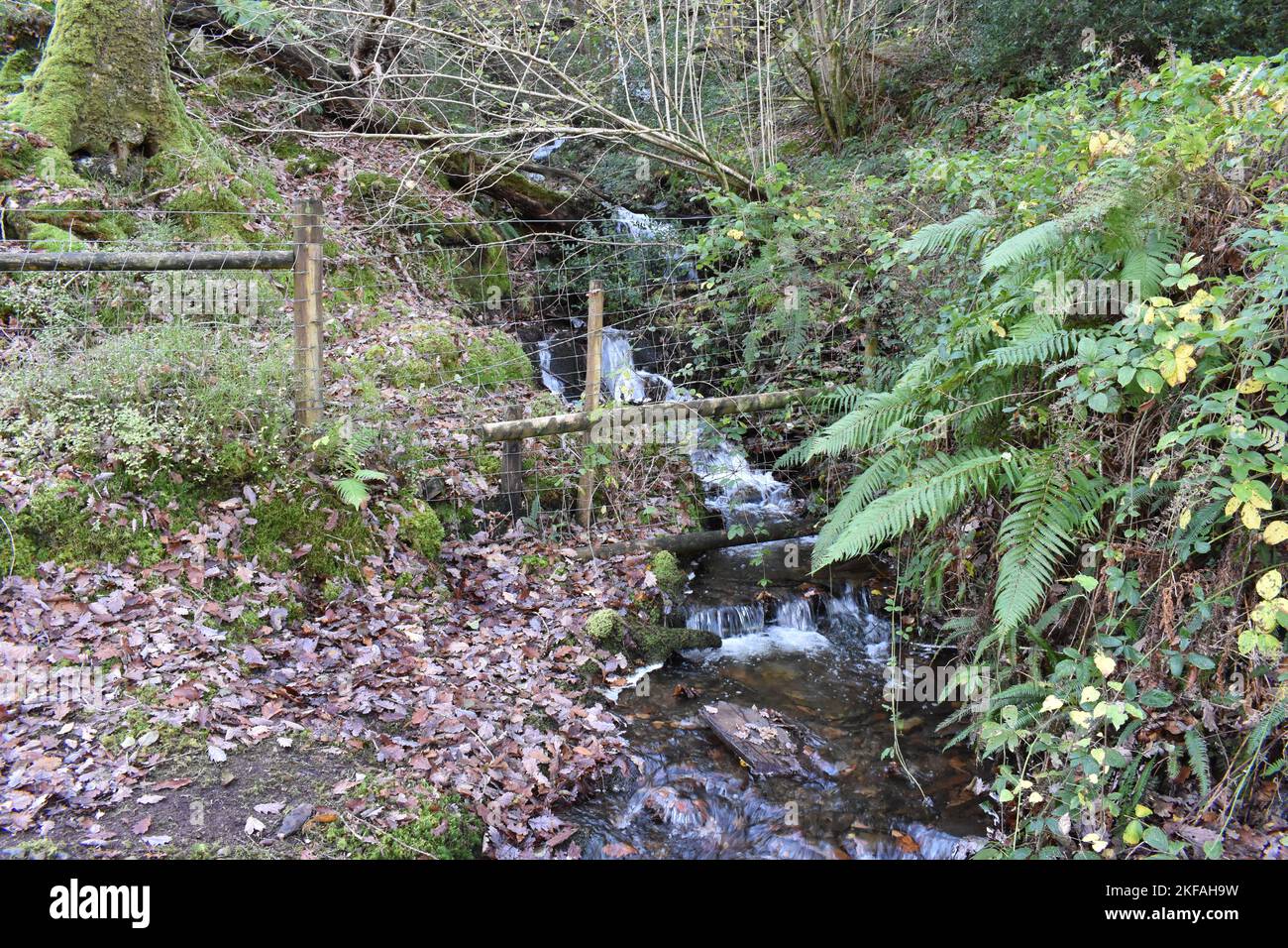 Stream, Waterfall Coed Felinrhyd, Snowdonia National Park, North Wales Stock Photo