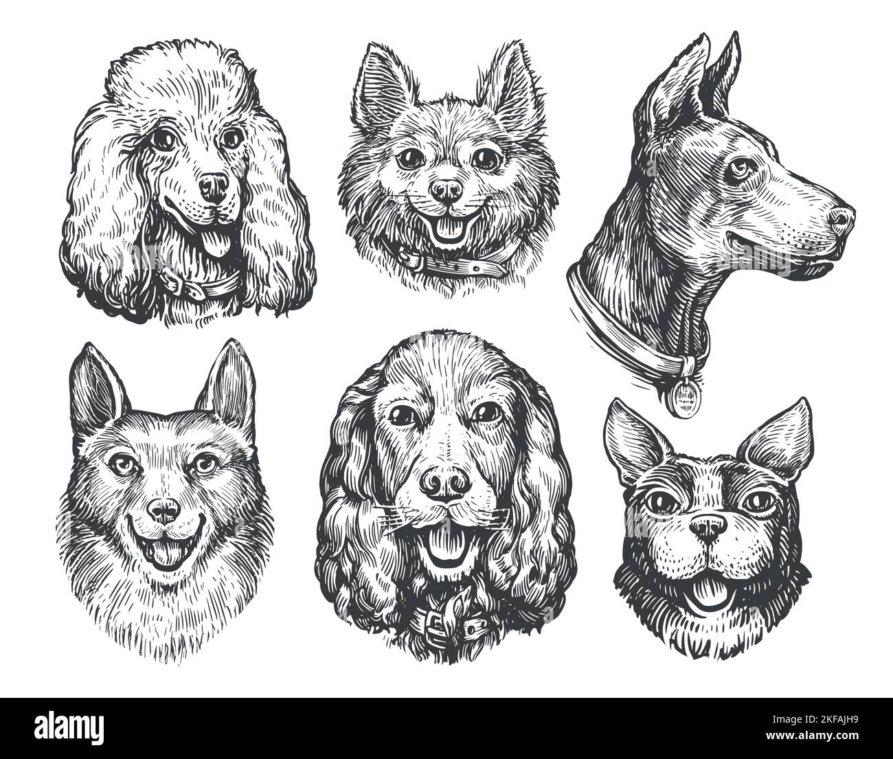 Set with Dog faces of different breeds. Collection of cute dog portraits. Pets, animals sketch vector illustration Stock Vector