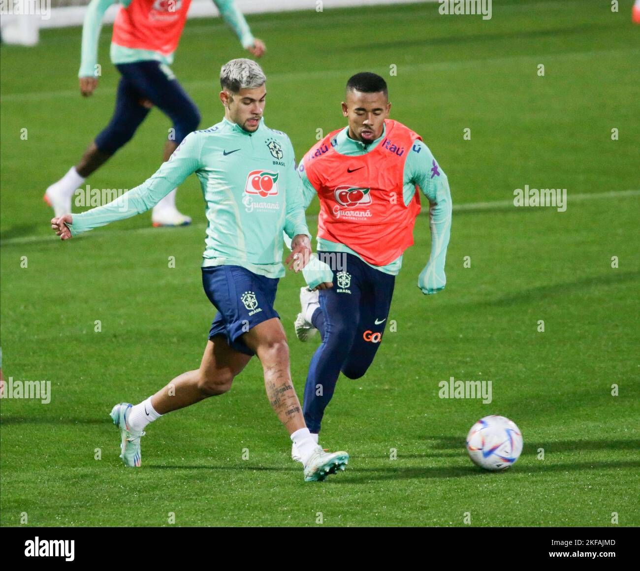 Turin, Italy. 16th Nov, 2022. Bruno Guimaraes of Brazil during Brazil National football team traning, before the finale stage of the World Cup 2022 in Qatar, at Juventus Training Center, 16 November 2022, Turin, Italy. Photo Nderim Kaceli Credit: Independent Photo Agency/Alamy Live News Stock Photo
