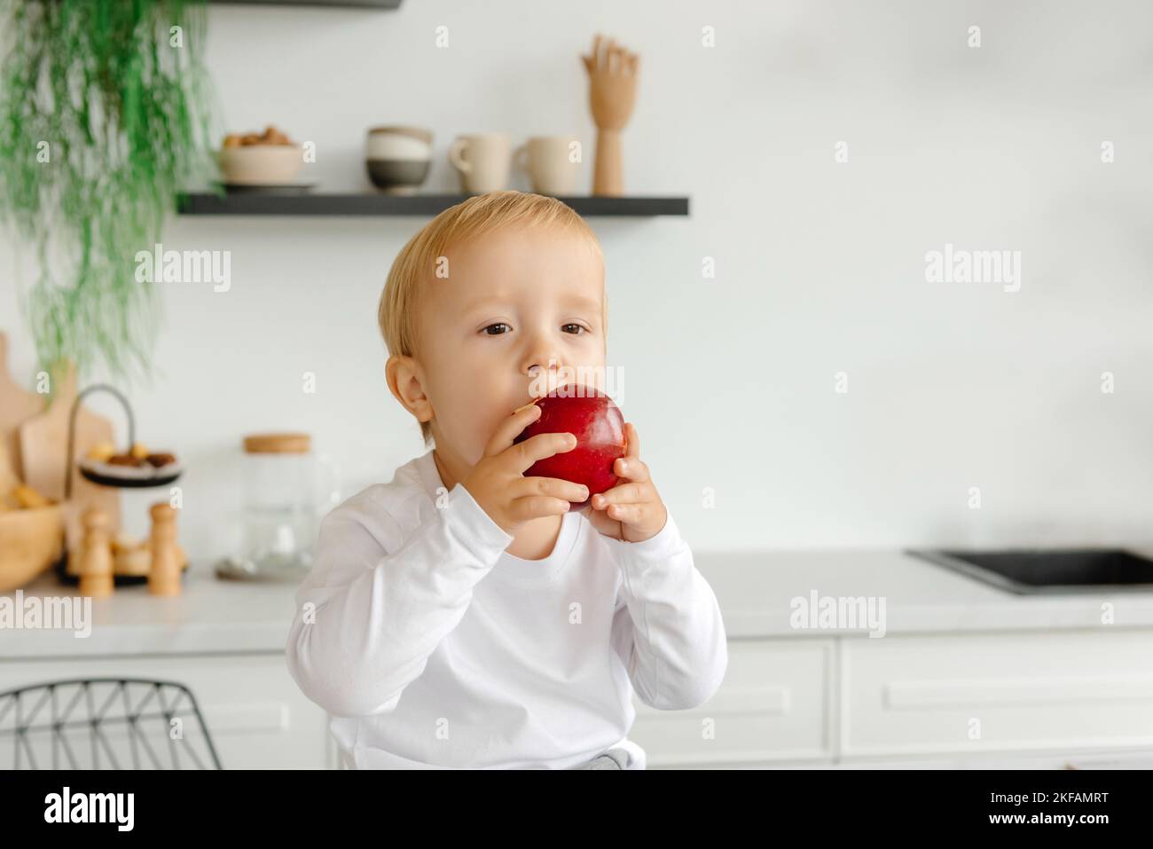 The child eats an apple for breakfast sitting in the kitchen. Healthy