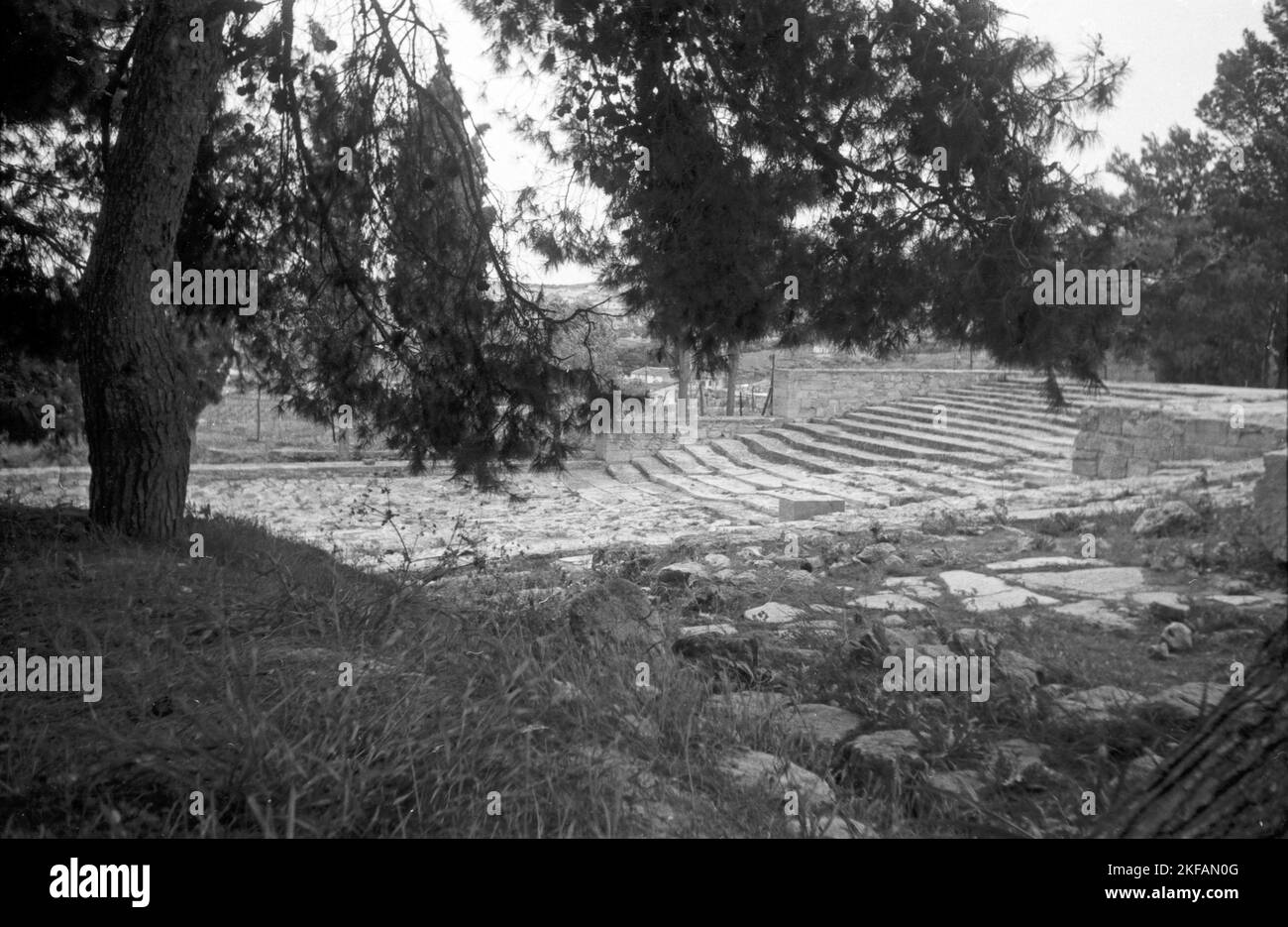 Aus den Überresten der antiken Stätten wachsen Bäume, Griechenland, 1950er Jahre. Trees growing on the remains of antique places, Greece, 1950s. Stock Photo