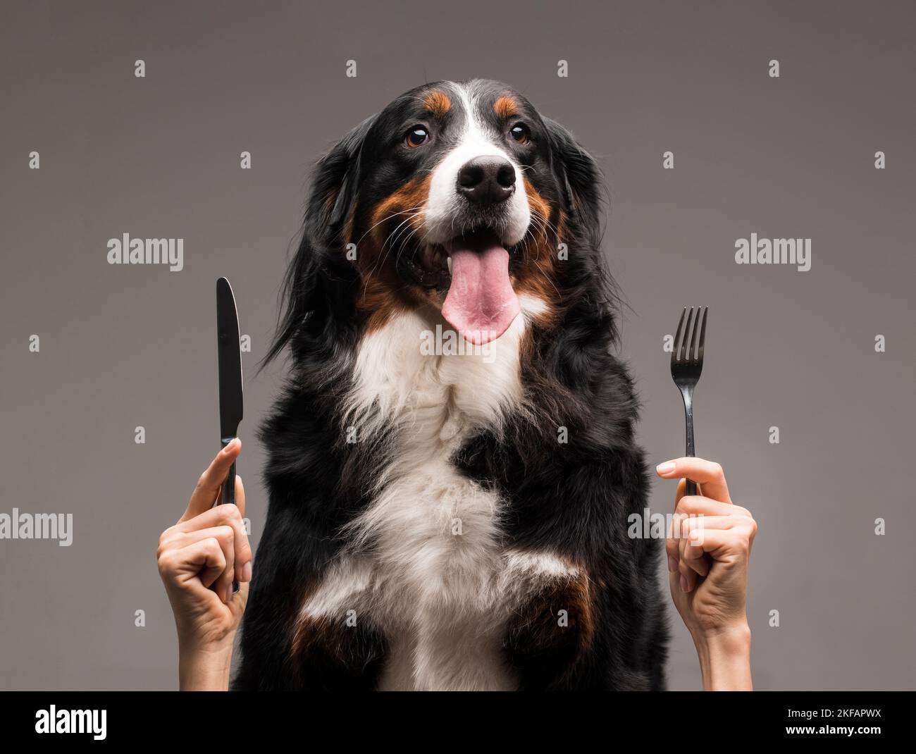 Man holding fork and knife hi-res stock photography and images - Alamy