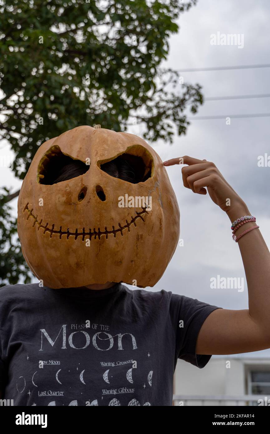 hands of old male farmer raises above his head large pumpkin on garden