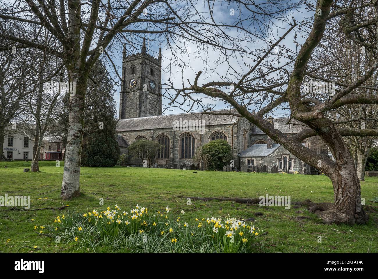 Devon flower trade hi-res stock photography and images - Alamy