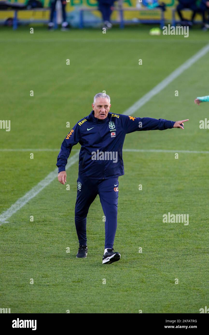 Turin, Italy. 16th Nov, 2022. Tite head coach of Brazil during Brazil National football team traning, before the finale stage of the World Cup 2022 in Qatar, at Juventus Training Center, 16 November 2022, Turin, Italy. Photo Nderim Kaceli Credit: Independent Photo Agency/Alamy Live News Stock Photo