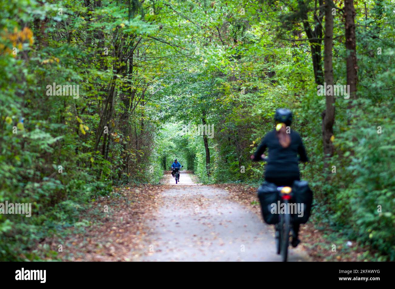 Cycling Path In A Forest Photographed On The Rout Between Keszthely And cycling-path-in-a-forest-photographed-on-the-rout-between-keszthely-and