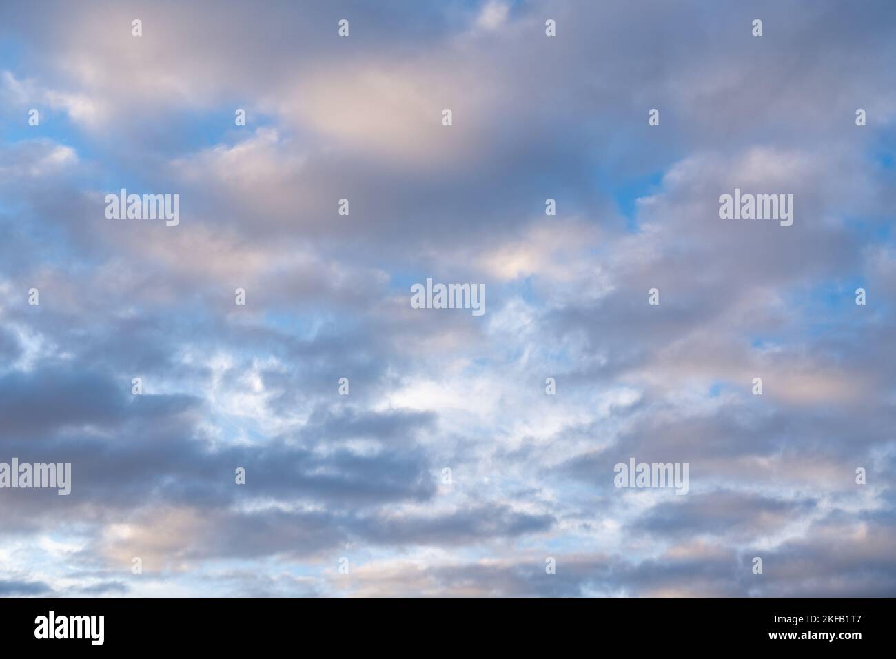 Beautiful sunset or sunrise sky, illuminating dark blue and pale pink clouds. Cloudy sky to overlay on your photos. Stock Photo